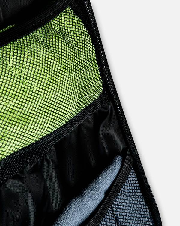 منظم جذع آدم