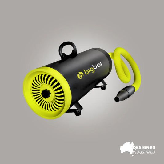 BLOWR MINI+
